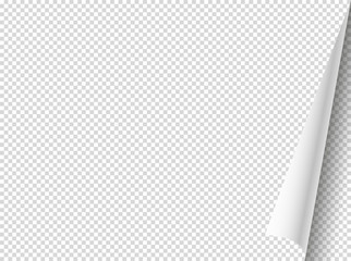 Poster - Bending paper vector mockup. Vector object isolated on transparent background