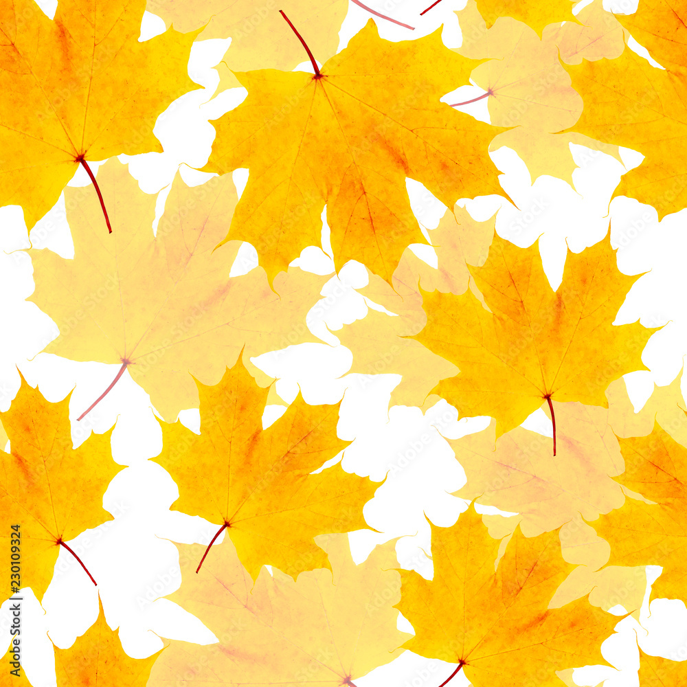 Autumn yellow maple leaf seamless pattern on white background. fabric  texture Stock Photo | Adobe Stock, image size:1000x1000