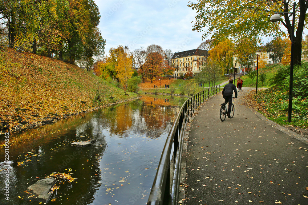Obraz na płótnie Walking path along the river in city in autumn. River Akerselva in Oslo, Norway. w salonie