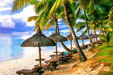 Tropical Vacation. Beautiful Beach Scenery With Palms And Beach Chairs