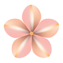 Cute Pink Head Of Flower, Top View, Floral Element Isolated On White Background. Vector Illustration. 
