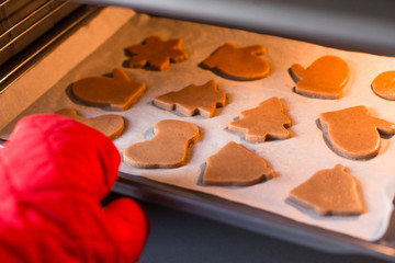 Preparing ginger christmas cookies in oven