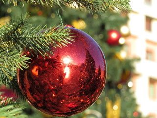 Christmas ball on the green fir branches. Red ball hanging on the street. New year toys, festive decorations