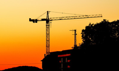 Crane in the sunset