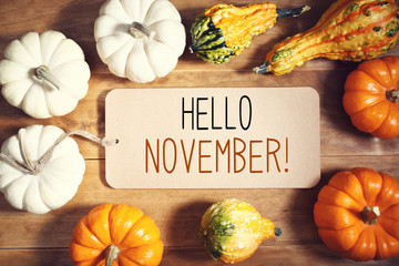 Sticker - Hello November message with collection of pumpkins on a wooden table