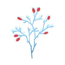 Vector Illustration Of Snowy Tree Branch With Red Berries In Flat Style Isolated On White Background. Winter Natural Decorative Element Covered With Snow For Seasonal Floral Design.