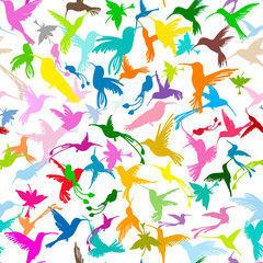 Poster - Colibri collection, sketch for your design