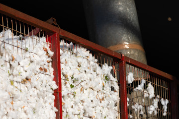 Poster - greek seed cotton getting unloaded in the ginning mill