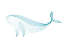 Whale Vector Illustration Create By Transparent Lines Pattern Isolated On White Background. For Background Or Design Elements.
