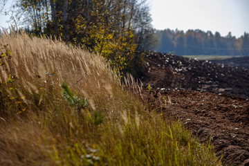 empty freshly cultivated agro field in late autumn in bright daylight