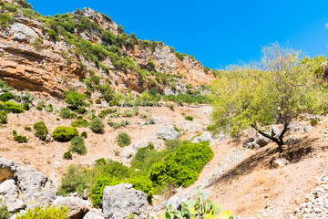 Wall Mural - Hiking in Morocco's Rif Mountains under Chefchaouen city, Morocco in Africa