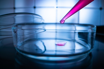 Sticker - Glass Petri dishes with blood samples in the laboratory