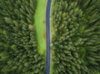 © ver0nicka - arial veiw of empty road in green forest. drone shot