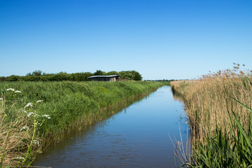 Landschaft an der Elbe in Schleswig-Holstein