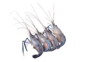 Wall Mural - Giant freshwater prawn, Fresh shrimp isolate on white background