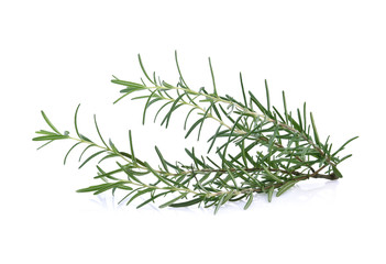 rosemary isolated on white background