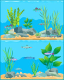 Fototapeta Łazienka - Colorful Cartoon Aquarium Fishes Set Promo Poster