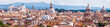 Aerial panoramic view of Rome, Italy. Skyline of old Roma city.