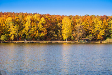 Fishing lake with piers and huts on a sunny autumn day