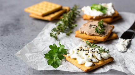 Tasty salted square crackers with cream cheese, cottage cheese, liver pate, seeds and herbs on parchment paper. 