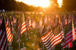 Field of American flags at Sunset