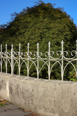 Wall Mural - romantic iron fence