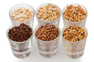 Sticker - Glasses with Assorted Beer Grains