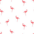 Seamless patterns with pink flamingo