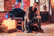A Stylish Young Man Sitting With His Purebred Rottweiler In A Decorated Living Room At Christmas Time.