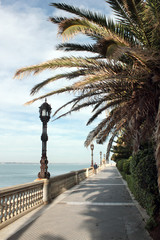 Wall Mural - Promenade paseo de Santa Barbara in Cádiz