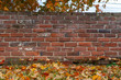 Fall Leaves and Brick Wall