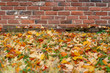 Fall Leaves and Brick Wall