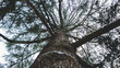 © Rui - Jardim Botânico