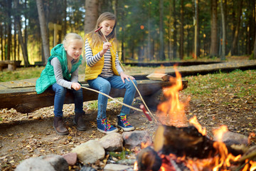 Wall Mural - cute little sisters roasting hotdogs on sticks at bonfire. children having fun at camp fire. camping