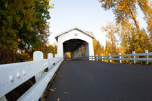 Distant Angular Perspective Of Larwood Covered Bridge With Fall Color Trees In A Rural Area In Oregon