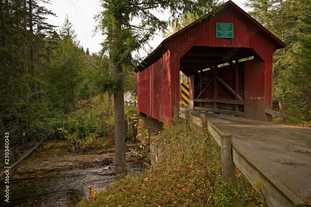 Covered Bridge In Northfield Falls Vermont Built In 1872 Wall Mural David English Cpp