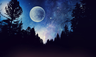 Wall Mural - full moon in night starry sky