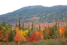 Fall Foliage And Mountains Of The Bigelow Range In Maine.