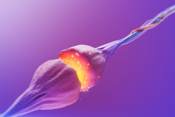 Poster - Synapse and neural cells sending electrical and chemical signals on a purple background. 3d rendering