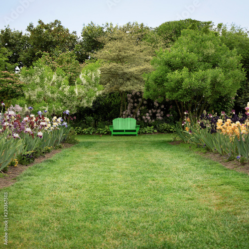 Fotografia, Obraz Isolated view of English style garden path of mowed lawn, mixed flower beds, tre