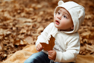 Wall Mural - Sweet baby in autumn forest