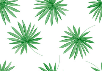  Watercolor tropical palm leaves seamless pattern. Hand drawn illustration.