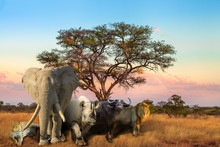 African Big Five: Leopard, Elephant, Black Rhino, Buffalo And Lion In Savannah Landscape At Sunset Light. Safari Scene With Wild Animals. Wildlife Background.