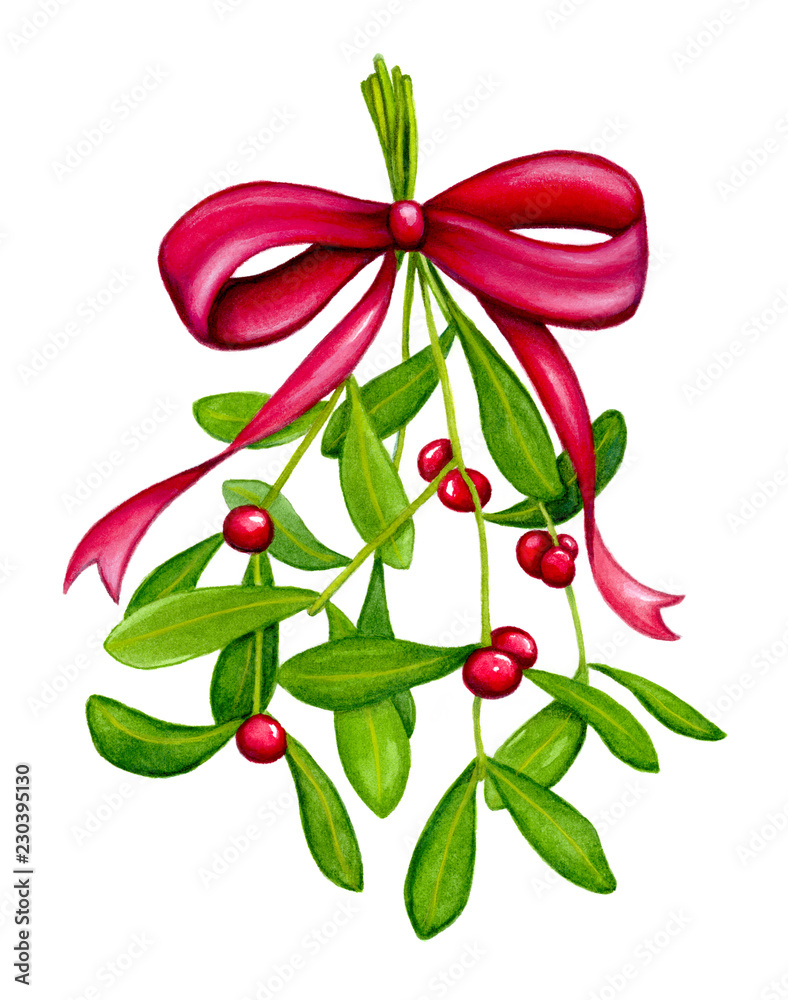 Mistletoe bunch hanging on red ribbon isolated on white background ...
