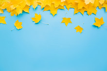 Welcome Autumn. Fresh, Yellow Maple Leaves On Pastel Blue Table. Bright Colors. Empty Place For Inspirational, Positive Text, Quote Or Sayings. Flat Lay. Top View.