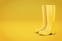 Autumn Fashion Advert Illustration. Pair Of Yellow Rubber Rain Boots On Yellow Background. Season Sale And Marketing. Shopping Poster With Copy Space In Trendy Color. Vector