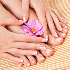 Wall Mural - Care for beautiful woman skin and nails. Pedicure and manicure at beauty salon. Woman legs, hands with flower on bamboo. Spa therapy. Closeup photo of female feet with white french manicure, pedicure