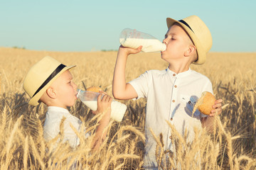 Two brothers eat buns and drink milk on a wheat field.	