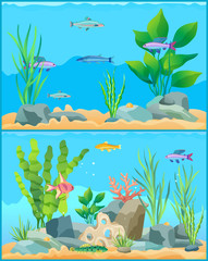 Wall Mural - Colorful Cartoon Aquarium Fishes Set Promo Poster