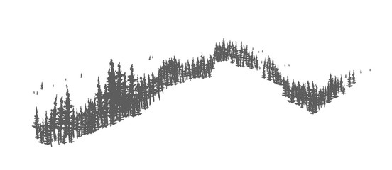 Poster - Coniferous forest landscape with hand drawn trees growing on hills or mountains. Woodland panorama with firs or spruces. Monochrome decoration isolated on white background. Vector illustration.